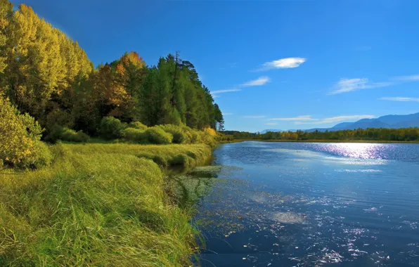 Осень, лес, небо, трава, солнце, деревья, горы, река