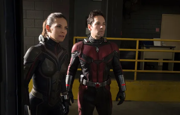 Кадр, пара, Evangeline Lilly, комикс, костюмы, Эванджелин Лилли, MARVEL, Wasp