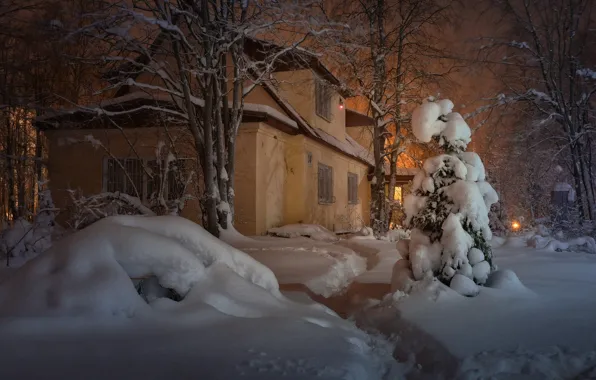 Картинка зима, снег, деревья, пейзаж, дом, вечер, освещение, сугробы