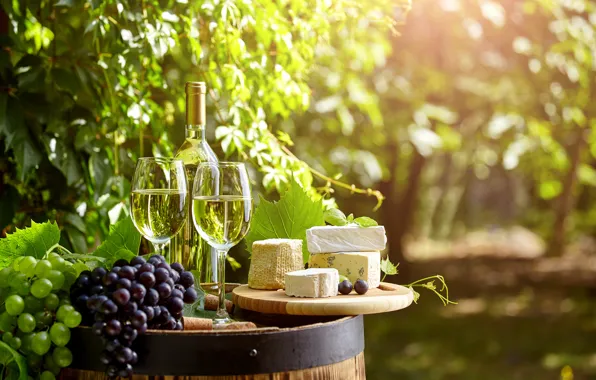 Картинка зелень, вино, бутылка, сыр, сад, бокалы, виноград, пробки