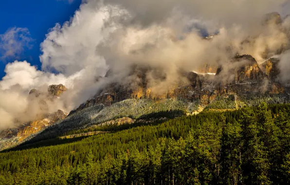 Лес, облака, деревья, горы, скалы, Канада, Banff National Park, Банф