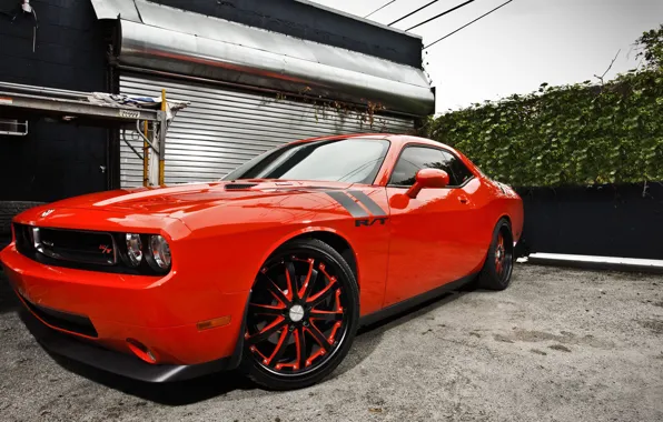 Красный, гараж, dodge, challenger, SRT 10