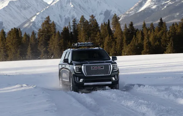 Картинка поле, GMC, SUV, Denali, Yukon, 2020