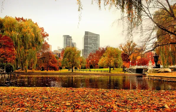 Картинка осень, деревья, пруд, парк, листва, здания, США, мостик