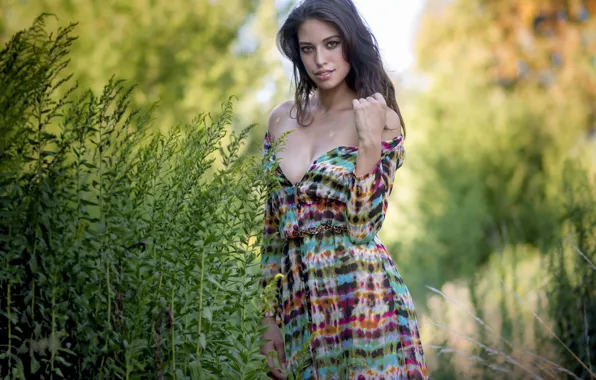 Трава, взгляд, девушка, брюнетка, боке