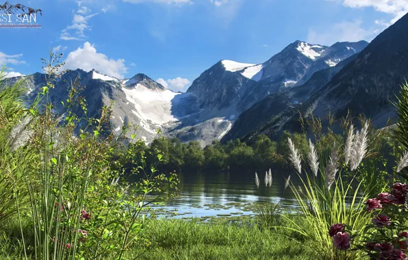 Горы, озеро, растительность, кувшинки, fishing lake