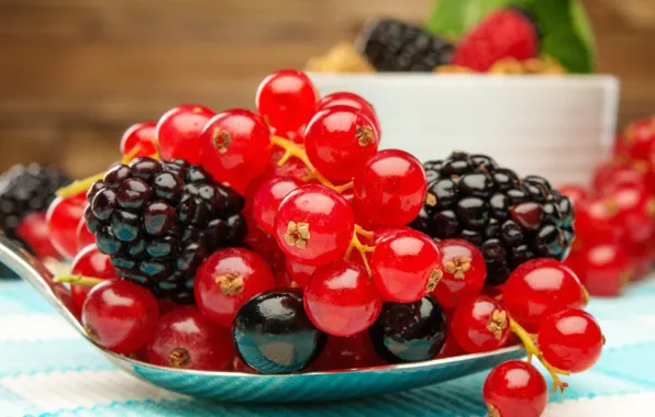 Ягоды, fresh, смородина, ежевика, berries