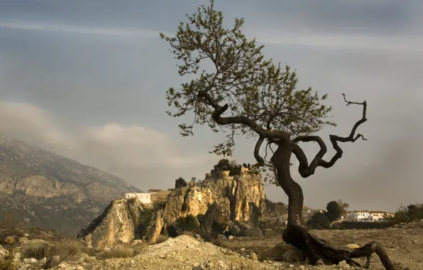 Горы, дерево, форма, Испания, Валенсия