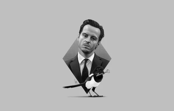 Птица, Sherlock, Джим Мориарти, Sherlock BBC, Мориарти, Sherlock Holmes, сорока, Sherlock (сериал)