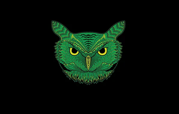 Зеленый, сова, минимализм, голова, черный фон, owl