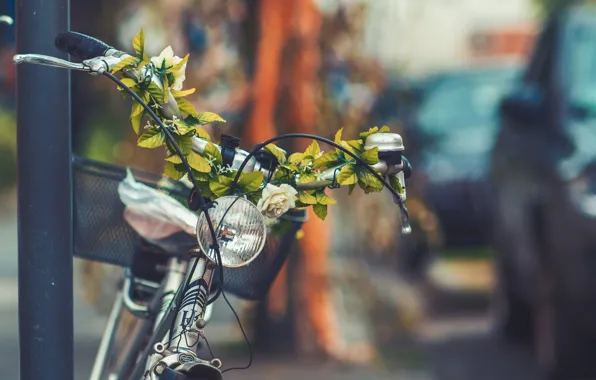 Картинка цветы, велосипед, город, улица, корзина, фара, фонарь, bicycle