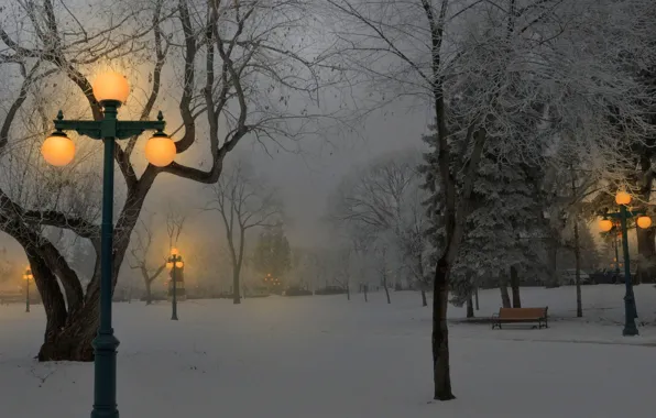 Свет, снег, парк, Зима, фонари, скамейки