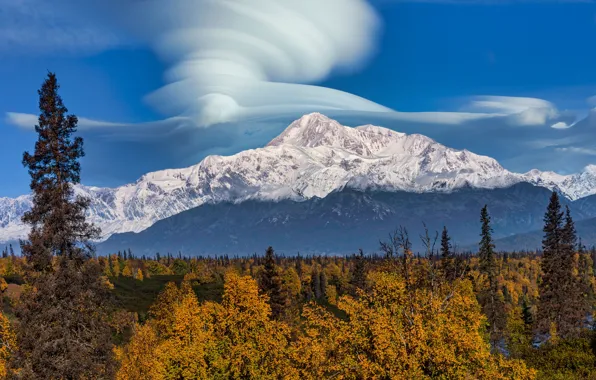 Осень, лес, небо, облака, снег, деревья, горы, синева