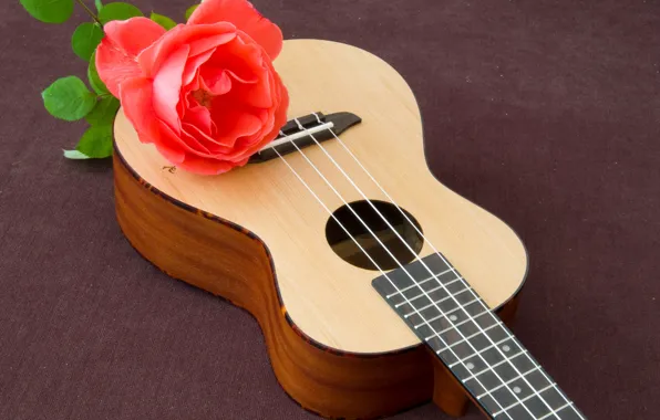 Роза, гитара, красная, Rose, Guitar