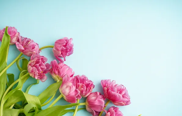 Картинка цветы, букет, тюльпаны, розовые, pink, flowers, beautiful, tulips
