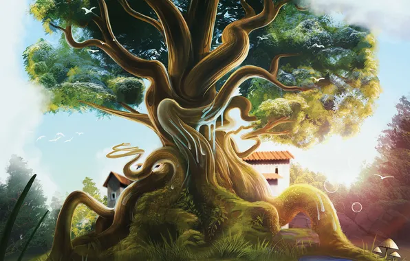 Картинка птицы, корни, дерево, грибы, домик