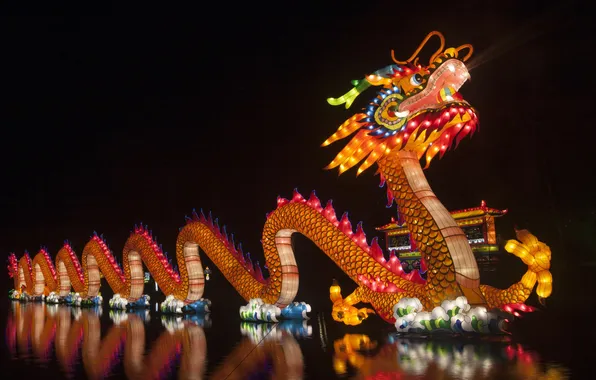 Dragon, decoration, color image, chinese new year, concepts and ideas