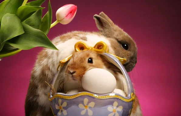 Картинка тюльпан, яйца, кролики, корзинка