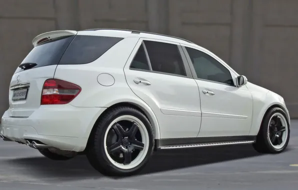 Mercedes-Benz, Kicherer, Ice, W164, второе поколение внедорожников M-класса, ML420
