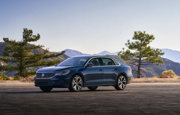 Деревья, синий, Volkswagen, седан, Passat, 2020, 2019, US Version