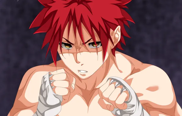 Аниме, Взгляд, арт, парень, боец, Shokugeki no Soma, Сома