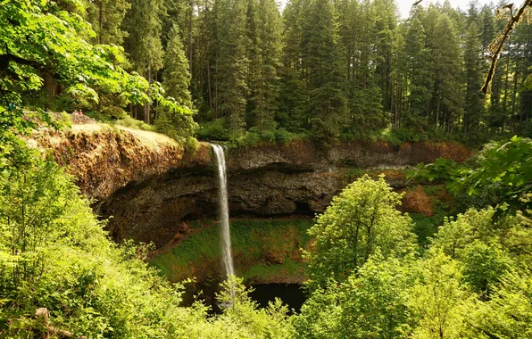 Картинка зелень, лес, деревья, парк, обрыв, водопад, США, солнечно