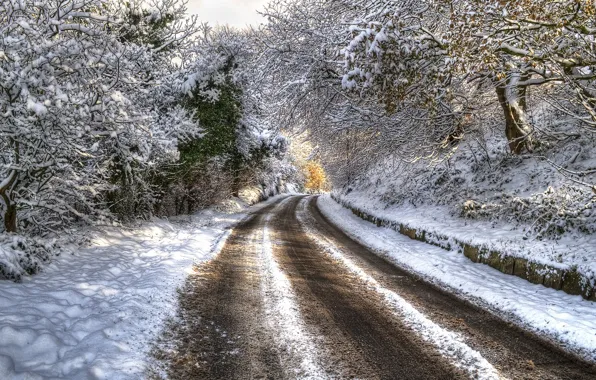 Картинка зима, дорога, снег, деревья, HDR, trees, winter