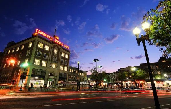 Картинка ночь, Night, usa, Cambridge, Кембридж, Massachusetts, Массачусетс, Harvard Square