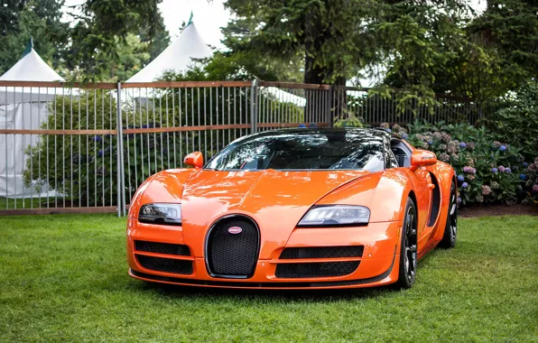 Картинка veyron, bugatti, vitesse