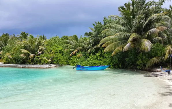Пальмы, океан, отдых, лодка, остров, relax, гавань, Maldives