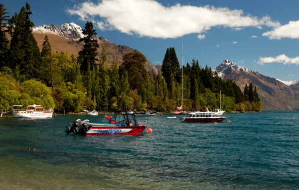 Картинка лес, горы, озеро, берег, яхты, лодки, Новая Зеландия, катера