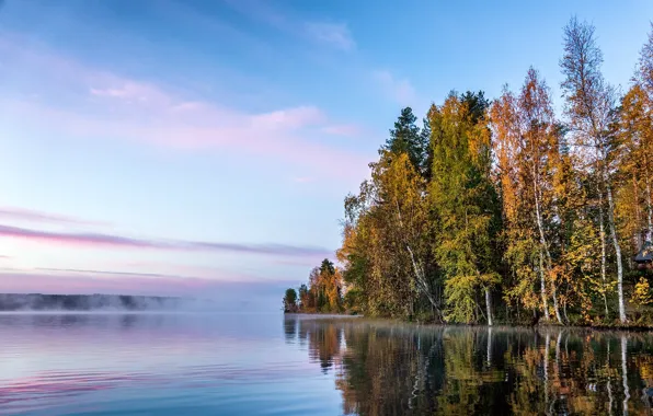 Картинка осень, деревья, озеро, гладь, отражение