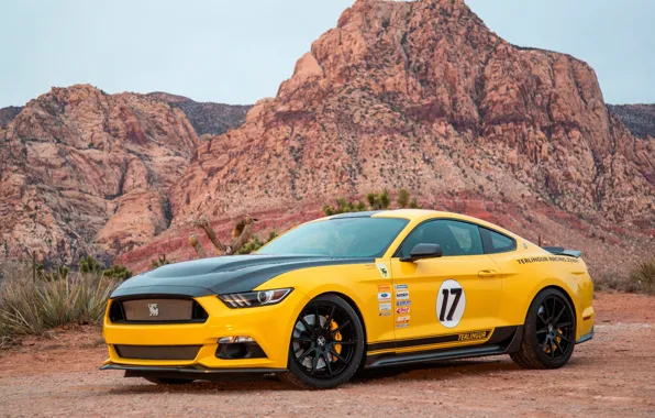 Mustang, Ford, Shelby, 2016, Terlingua
