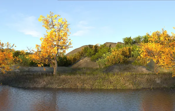 Картинка осень, трава, деревья, желтый, Водоем, коричневый
