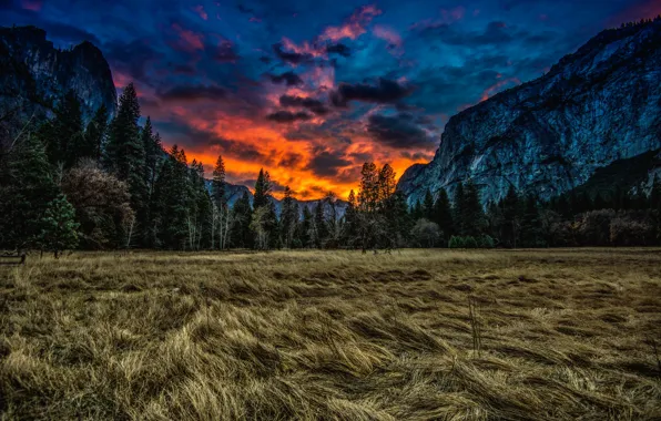 Картинка трава, облака, деревья, закат, горы, природа, луг, Калифорния