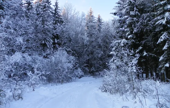 Картинка зима, дорога, поворот