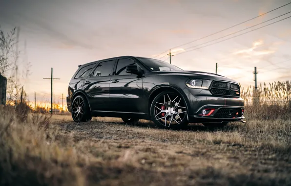 Dodge, Side, Dodge Durango, Durango, Field