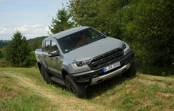 Картинка трава, деревья, серый, Ford, Raptor, пикап, Ranger, 2019