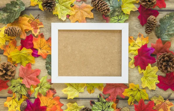 Осень, листья, фон, дерево, рамка, colorful, клен, wood