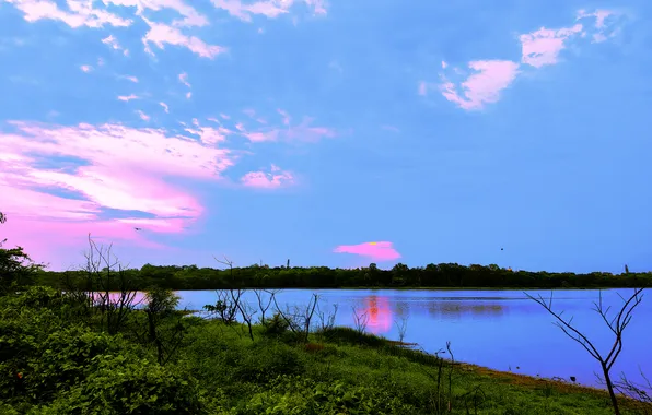 Sun, Water, Sunrise, Dawn, Morning, Lake, Trees, Reflection