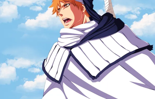 Небо, Bleach, Блич, Ичиго Куросаки