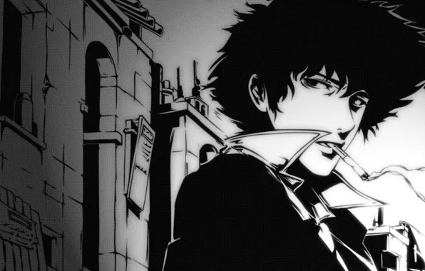 Cowboy bebop, Ковбой Бибоп, spike spiegel