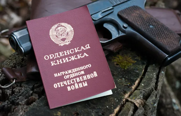 1944, Russian, Soviet, TT 33
