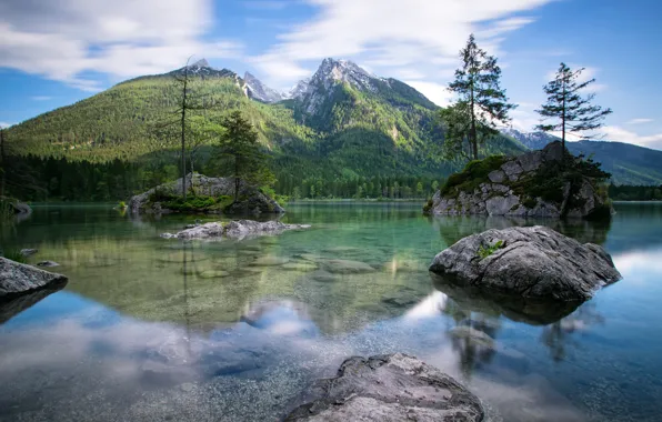 Картинка лес, прозрачность, горы, озеро, Германия, дервья