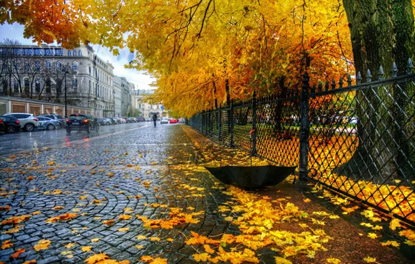 Осень, листья, дождь, забор, зонт, Санкт Петербург, Екатерининский парк