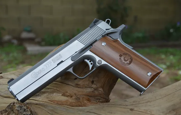 Картинка оружие, магнум, Magnum, 357, Coonan Classic