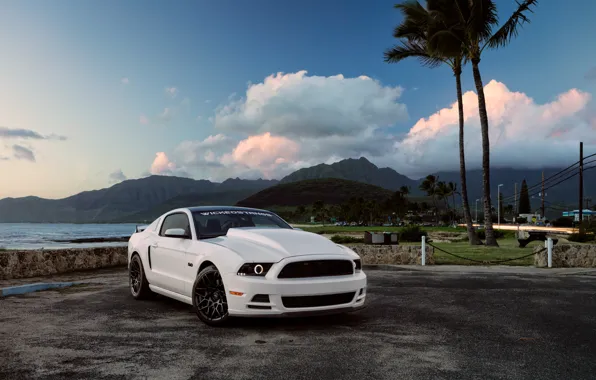Mustang, Ford, Muscle, Car, Hawaii, Front, 5.0, White