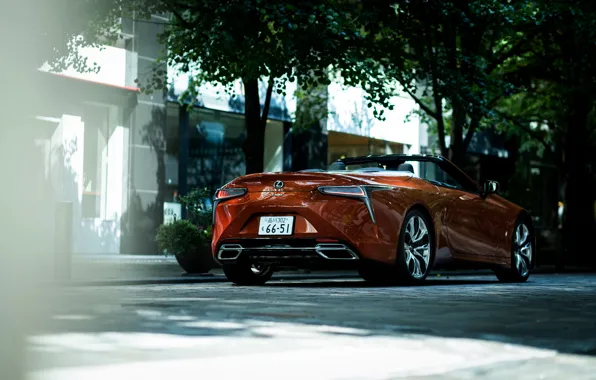 Картинка деревья, улица, Lexus, кабриолет, 2021, LC 500 Convertible