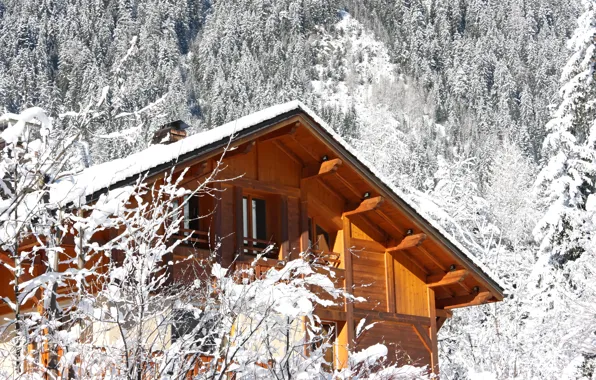Зима, дом, стиль, настроение, отдых, путешествие, дача, зимний лес