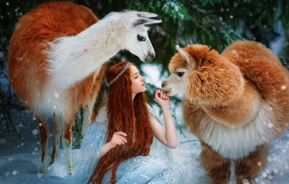 Девушка, поза, рыжая, рыжеволосая, длинные волосы, лама, альпака, Александра Савенкова